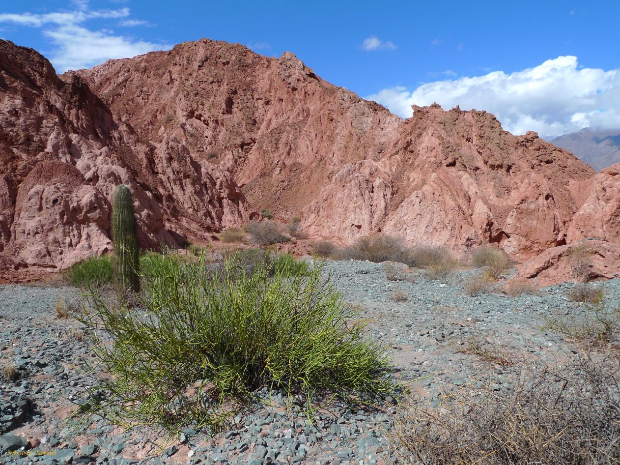 12 Quebrada Le Paseo de los colorados Purmamarca 10