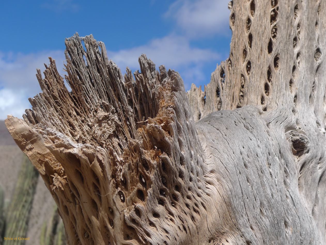 12 Quebrada Pucara precolombienne de Tilcara 3