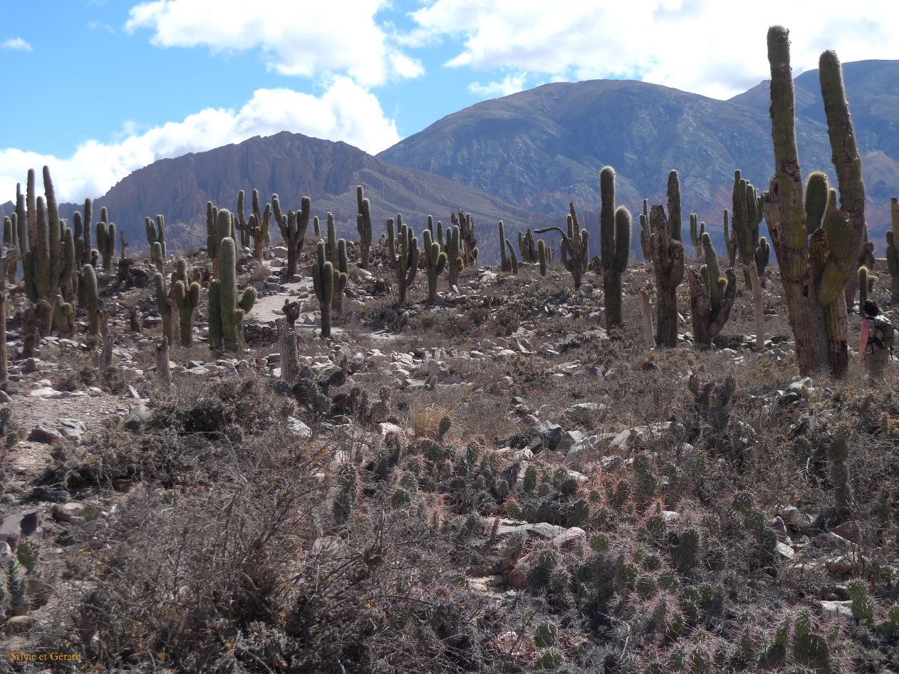 12 Quebrada Pucara precolombienne de Tilcara 5