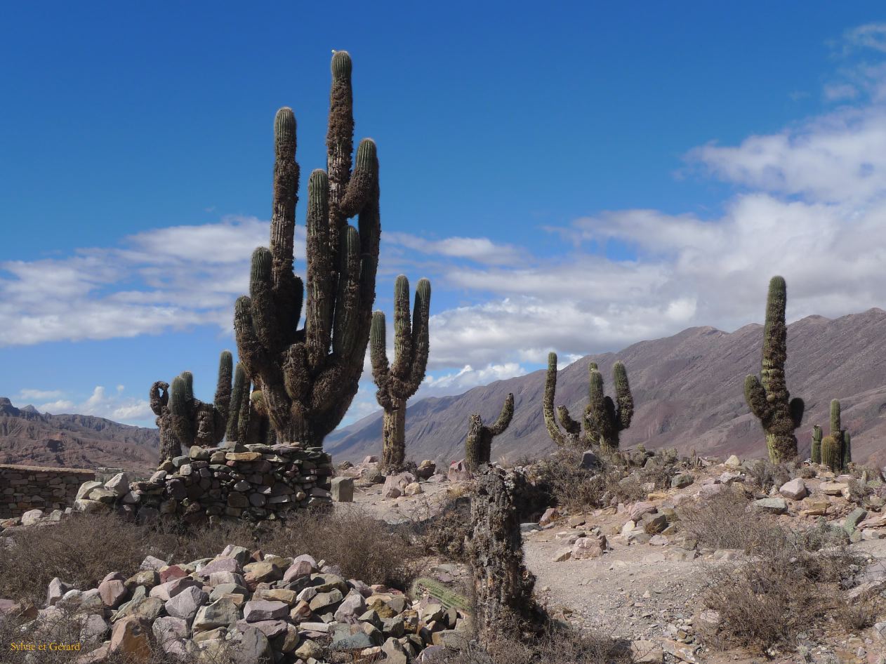 12 Quebrada Pucara precolombienne de Tilcara 6