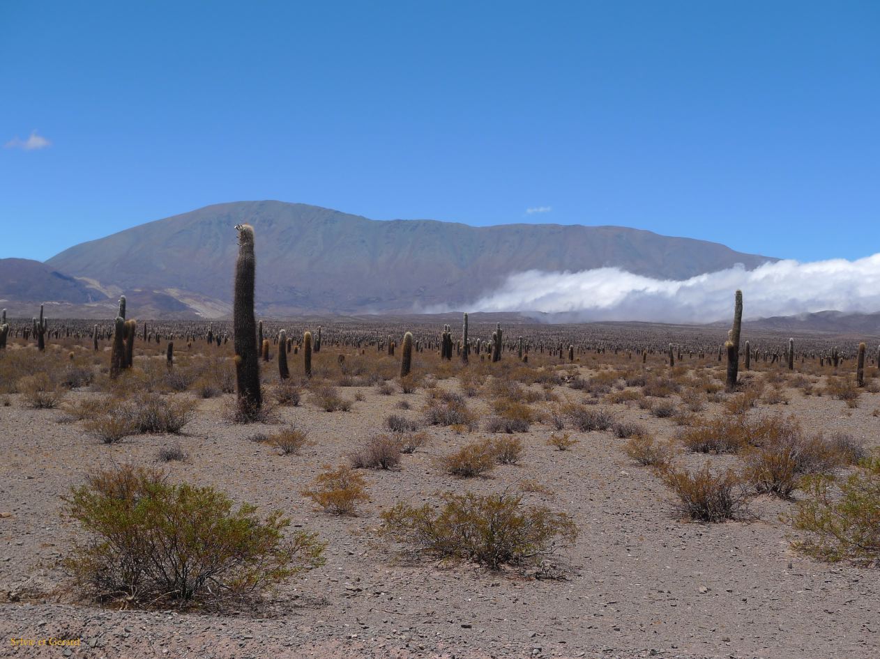 16 Vallees Calchaquies Cachi de Salta-12