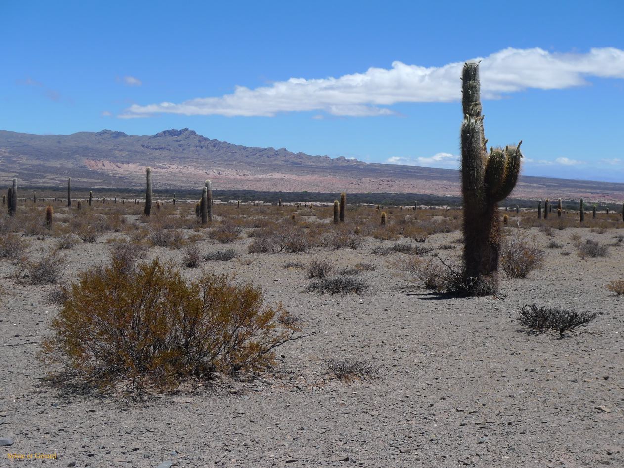 16 Vallees Calchaquies Cachi de Salta-13