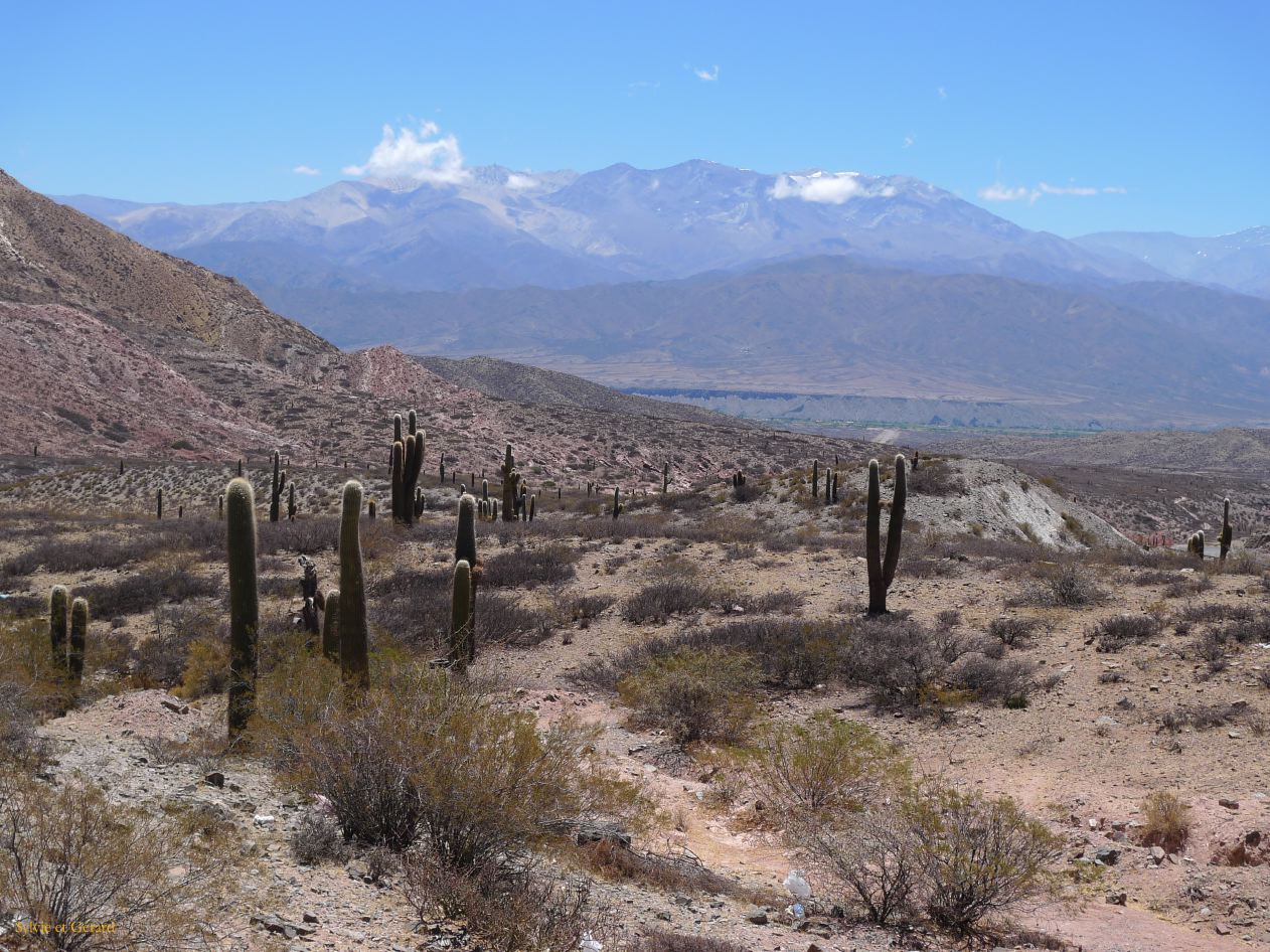 16 Vallees Calchaquies Cachi de Salta-15