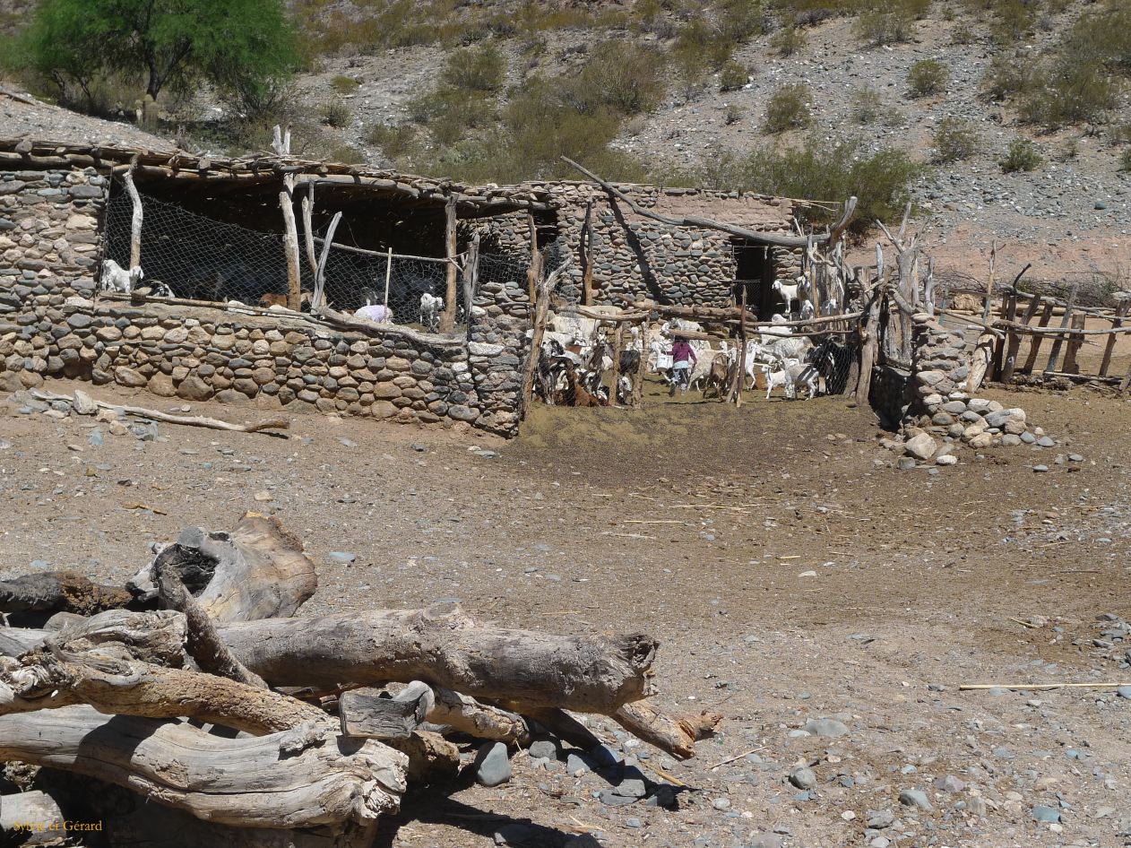 16 Vallees Calchaquies de Cachi à Cafayate-01