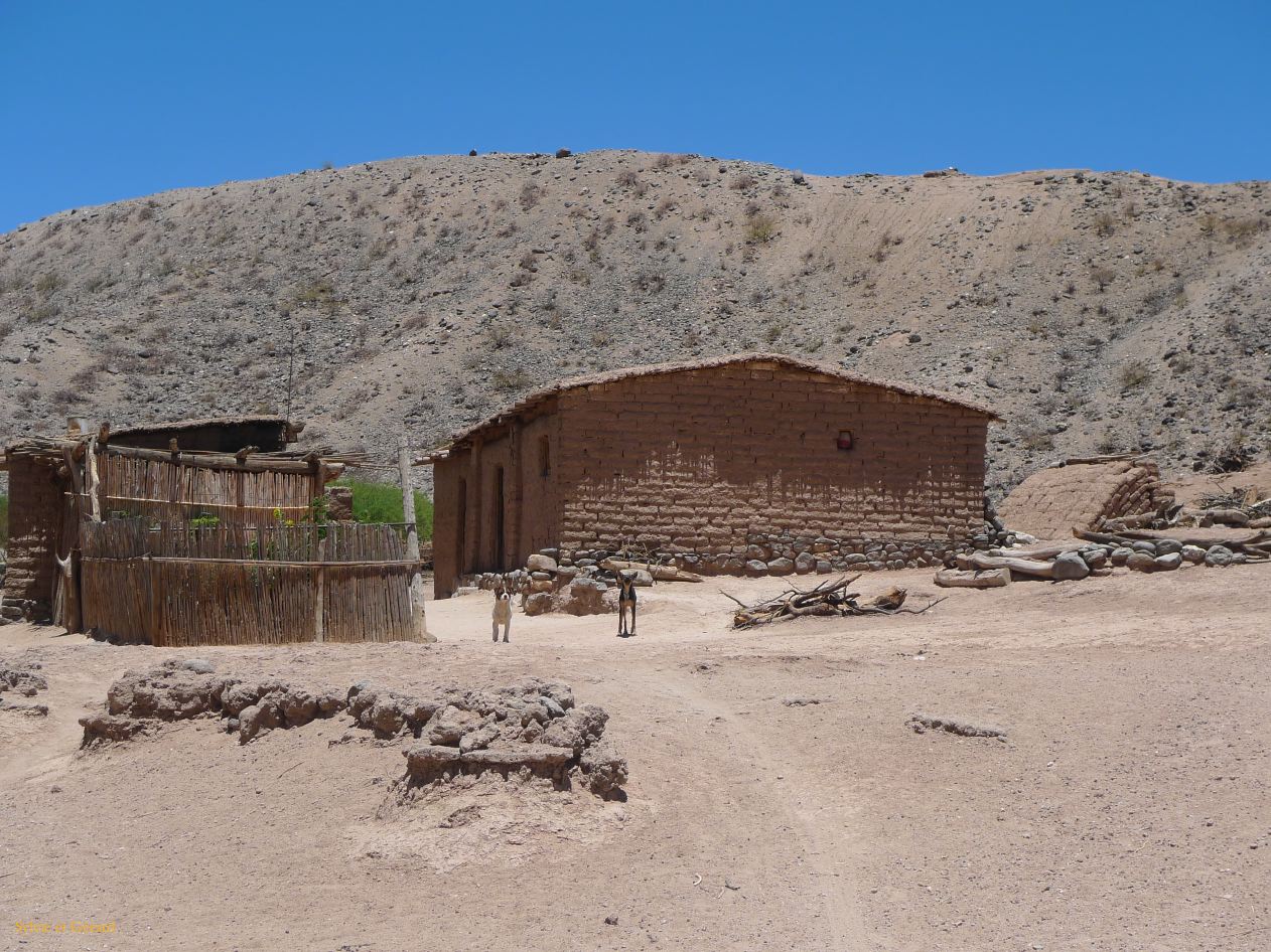 16 Vallees Calchaquies de Cachi à Cafayate-11