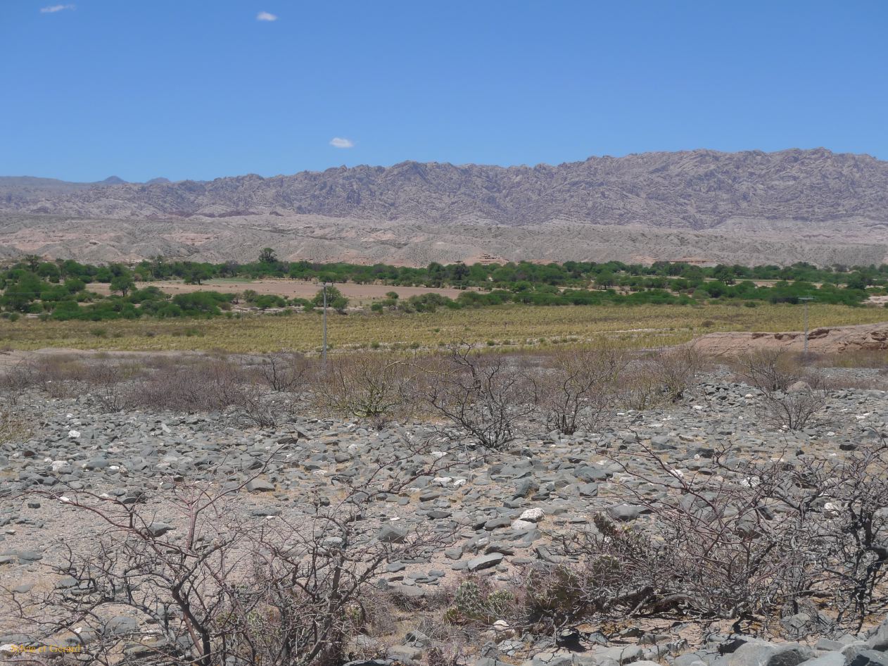 16 Vallees Calchaquies de Cachi à Cafayate-14