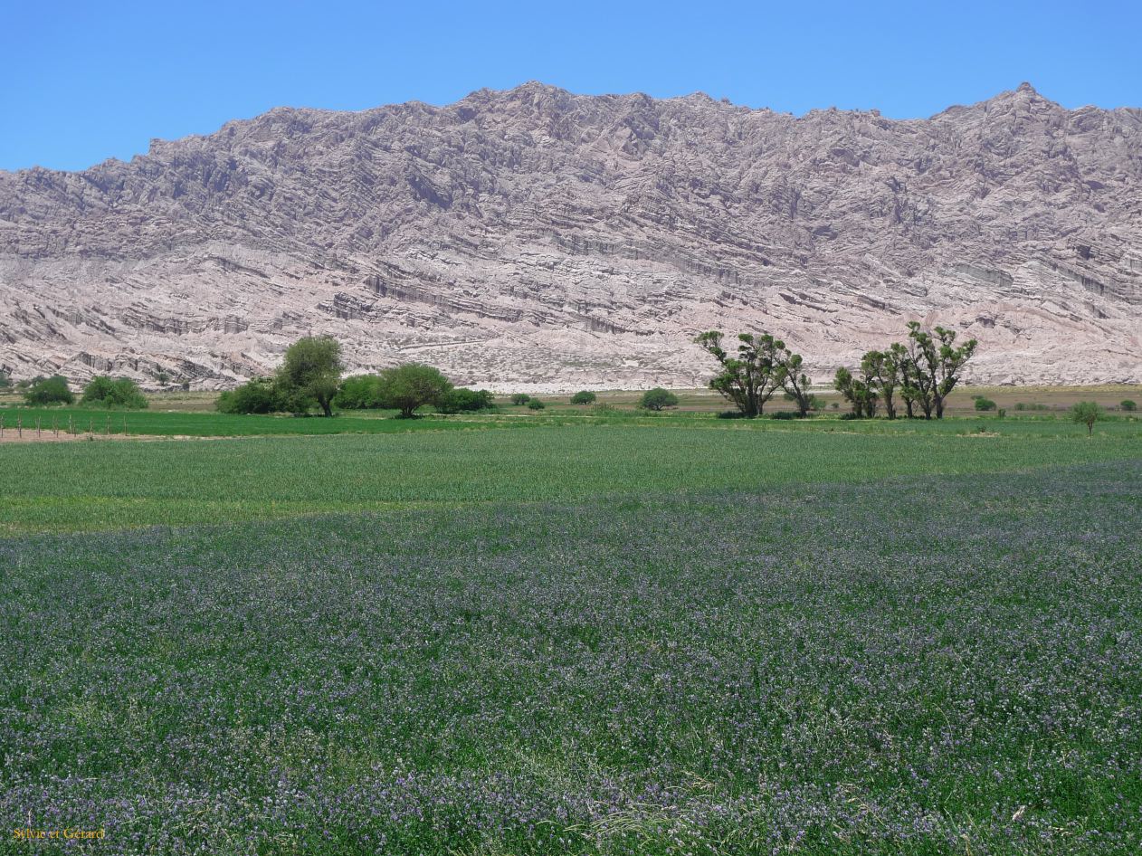 16 Vallees Calchaquies de Cachi à Cafayate-15