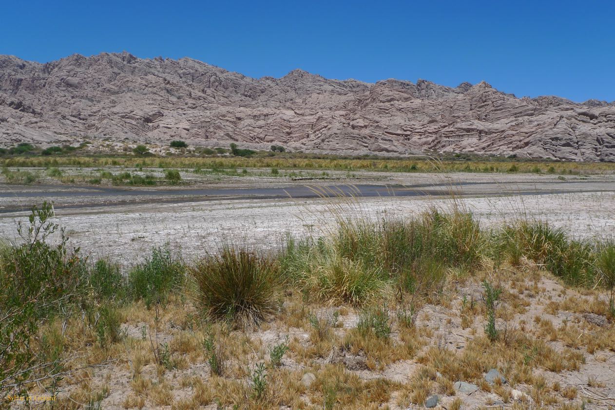 16 Vallees Calchaquies de Cachi à Cafayate-17