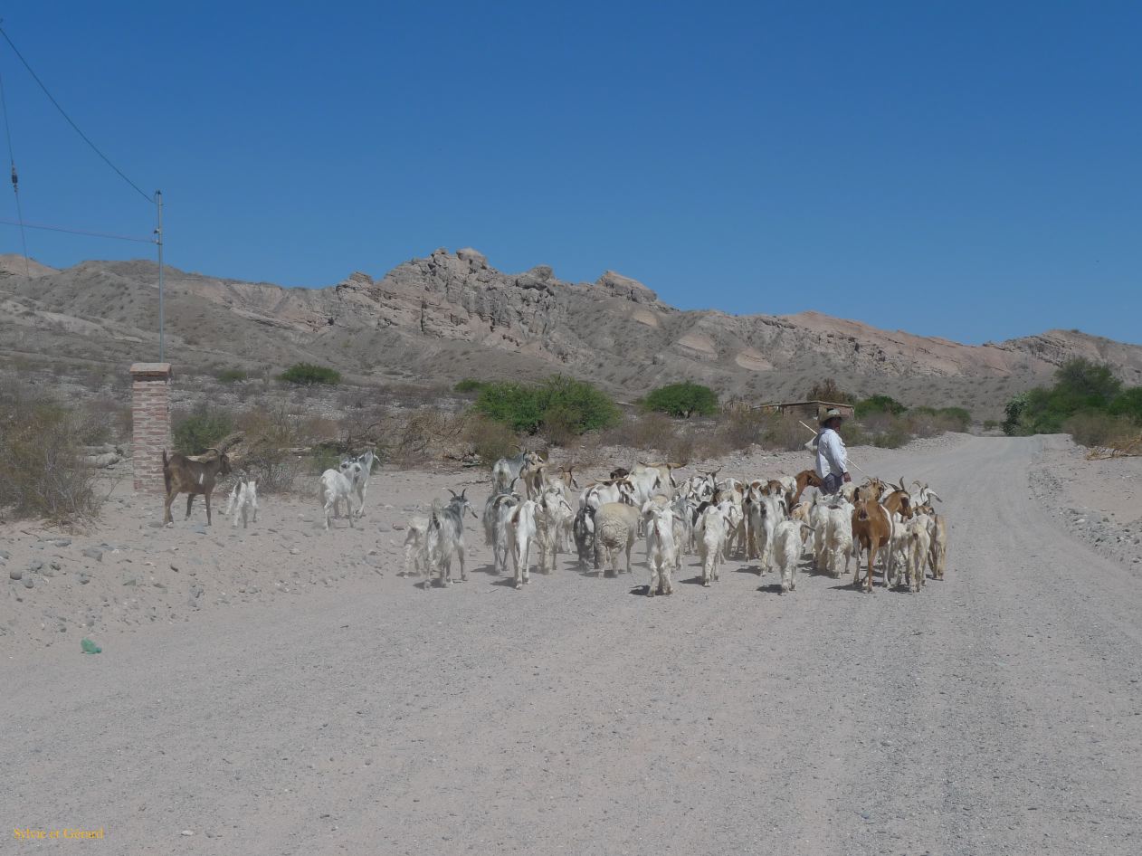 16 Vallees Calchaquies de Cachi à Cafayate-32