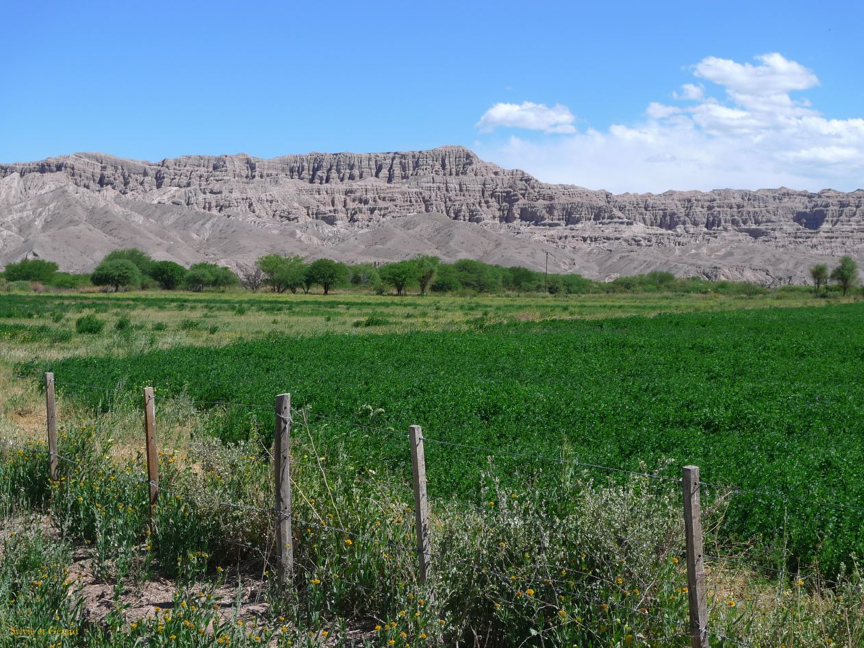 16 Vallees Calchaquies de Cachi à Cafayate-34