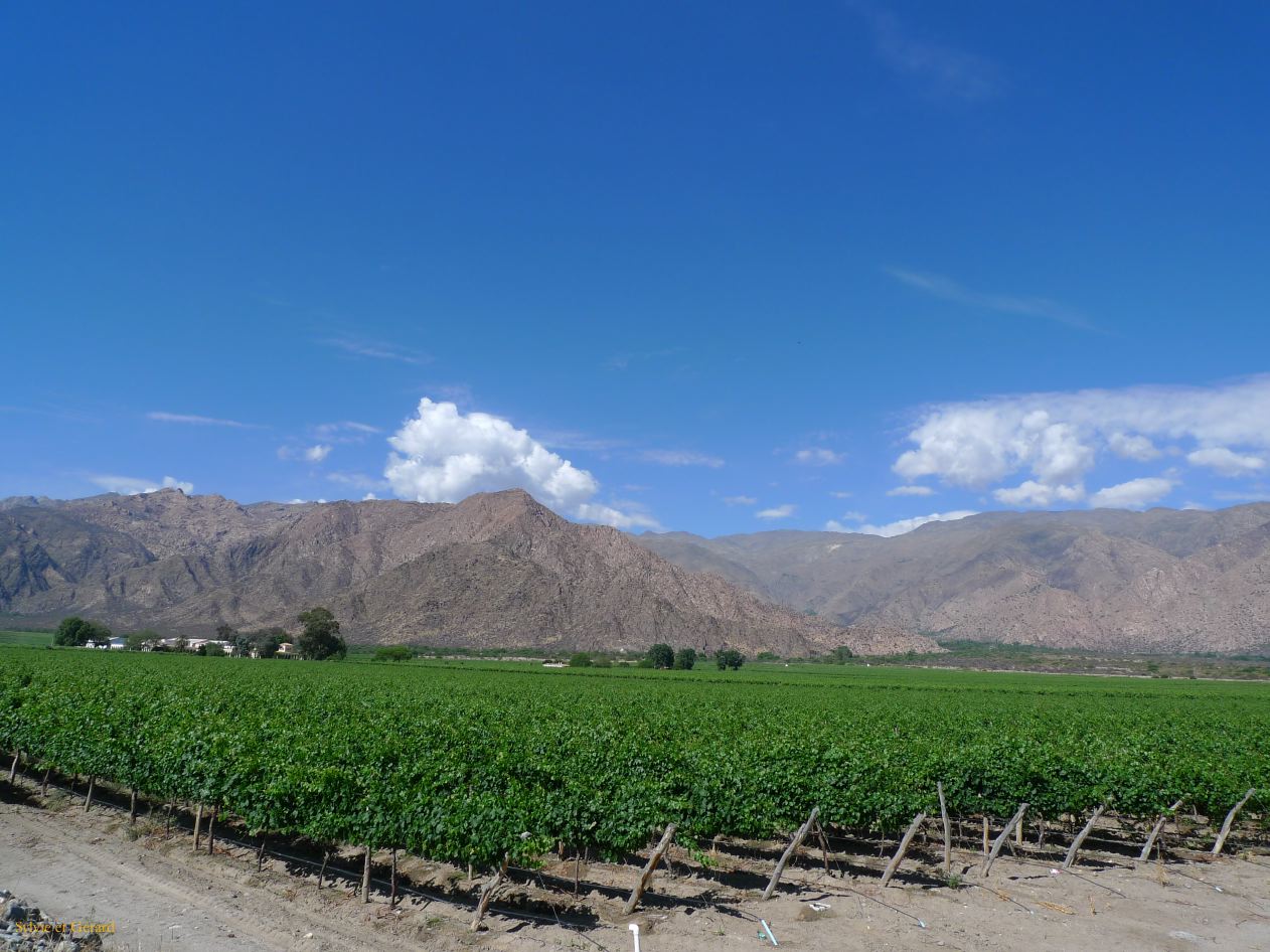 16 Vallees Calchaquies de Cachi à Cafayate-35