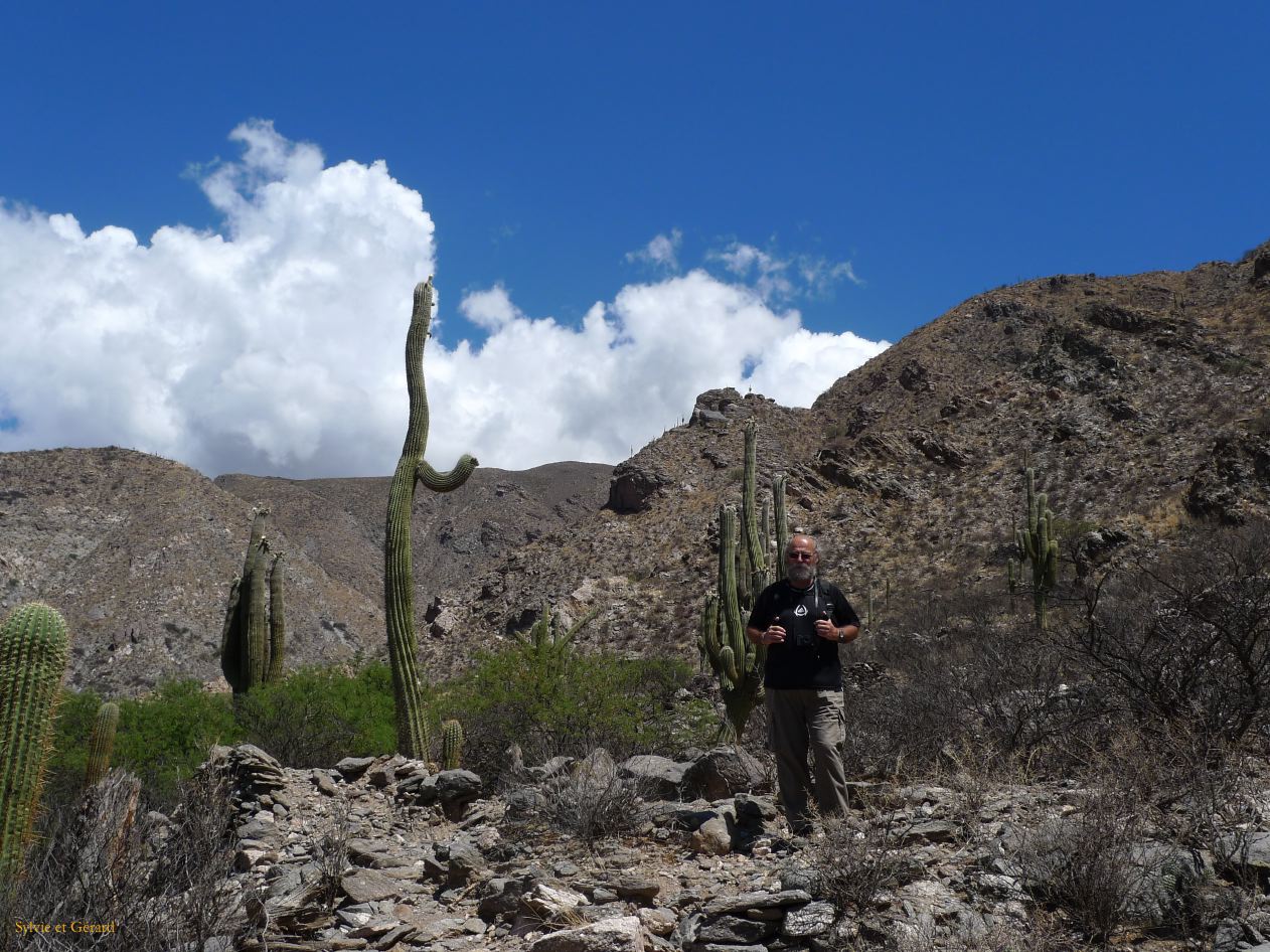 16 Vallees Calchaquies ruines de Quilmes-3