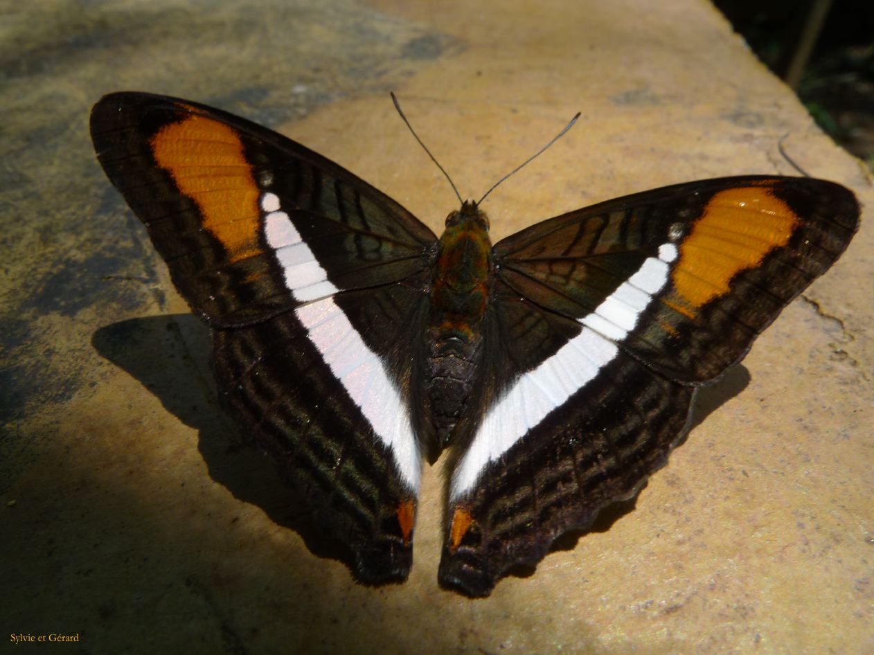 17 Igazu chutes argentines-4