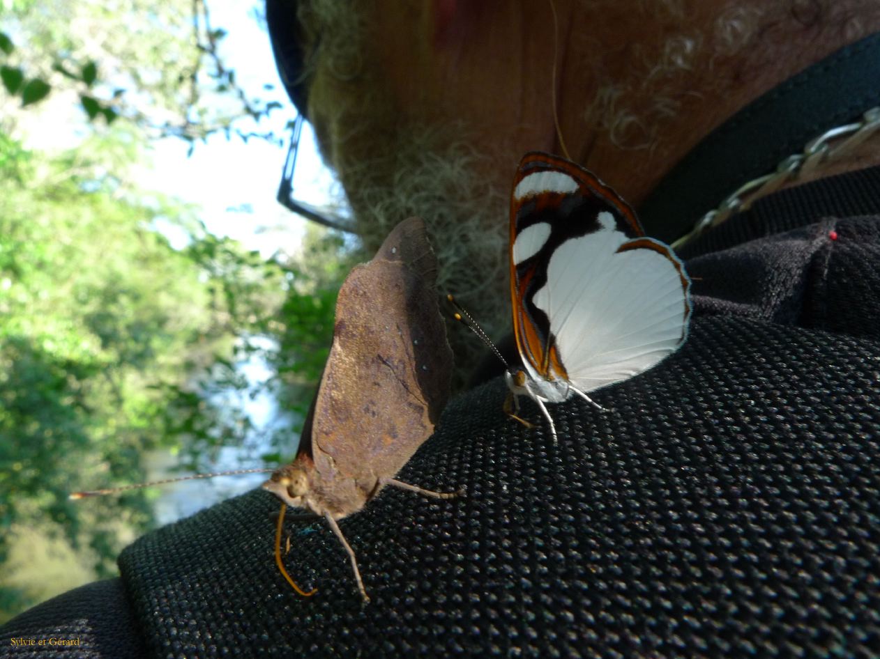 17 Igazu chutes argentines-18