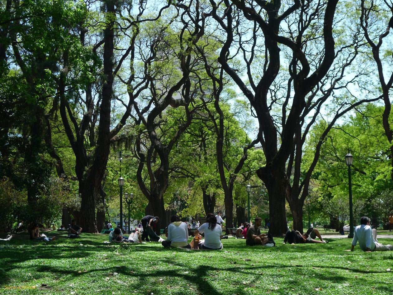 05 Buenos Aires Retiro piquenique sur les pelouses