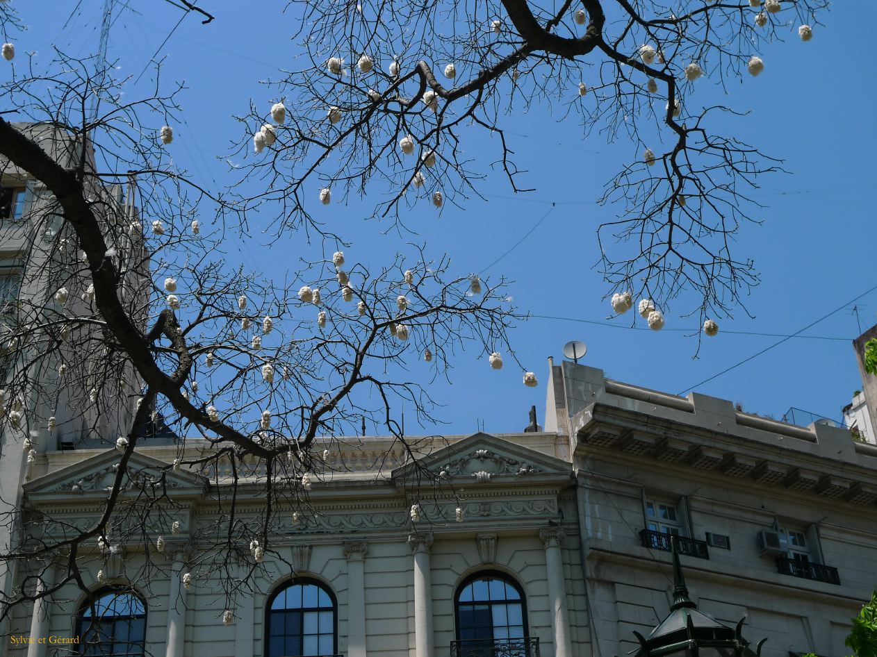 05 Buenos Aires Retiro printemps