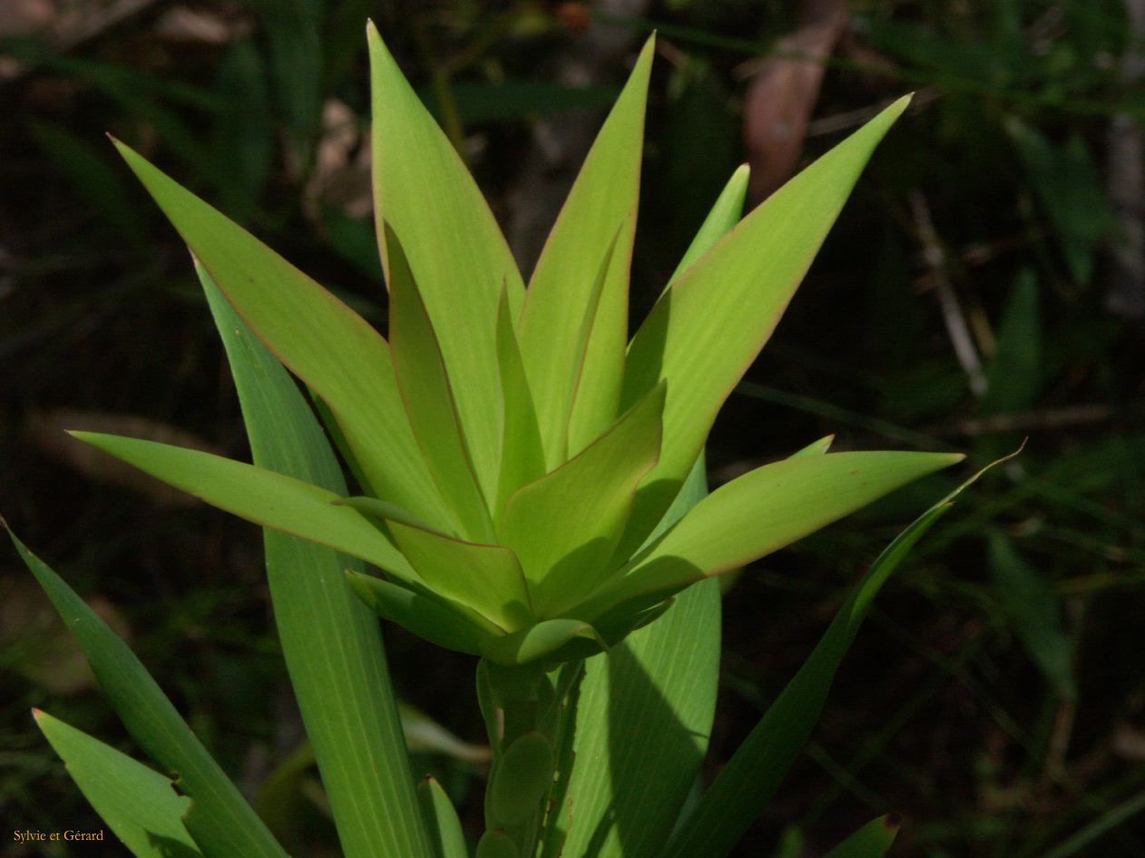 F 042 Margaret River