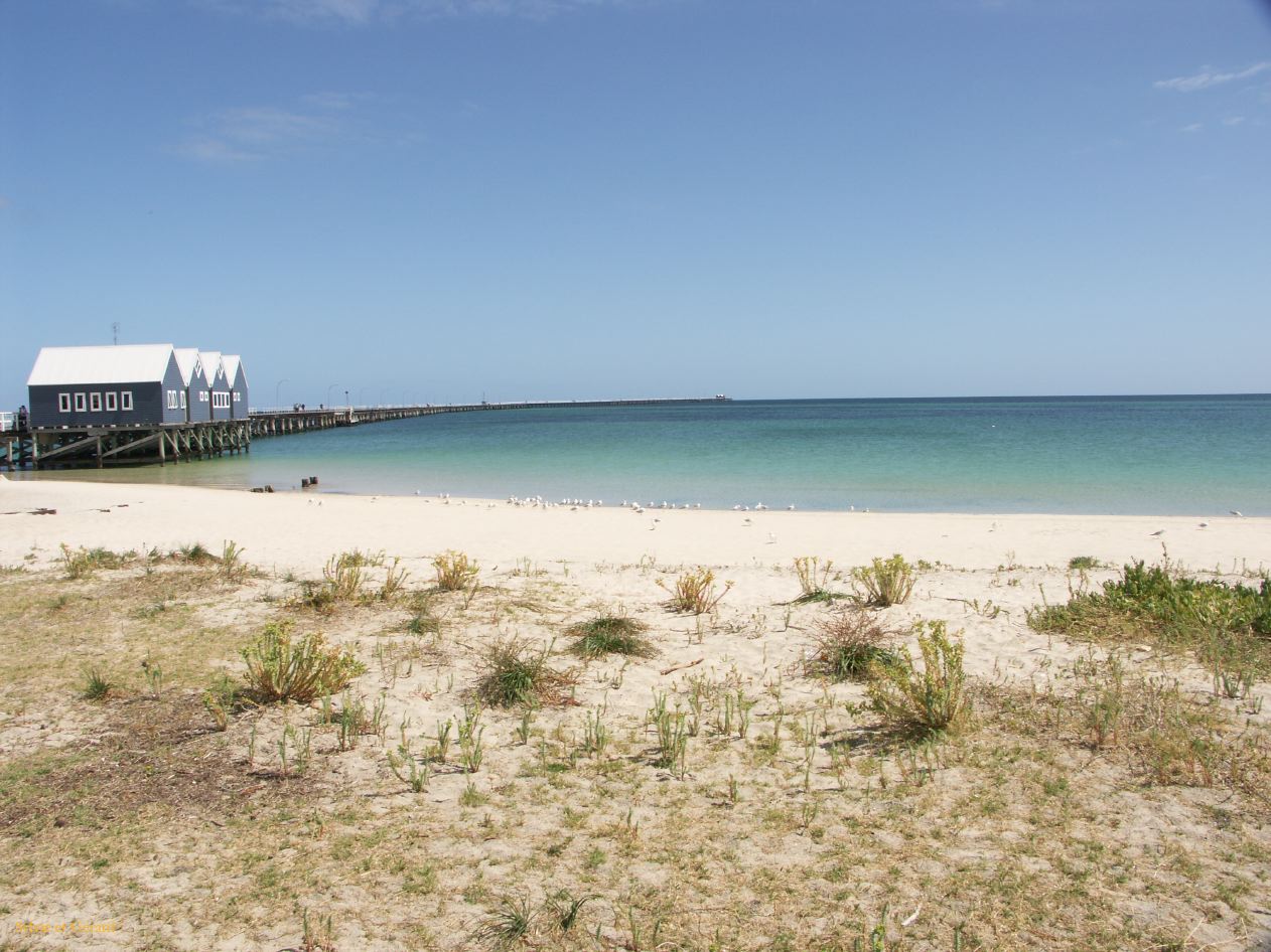F 060 Busselton