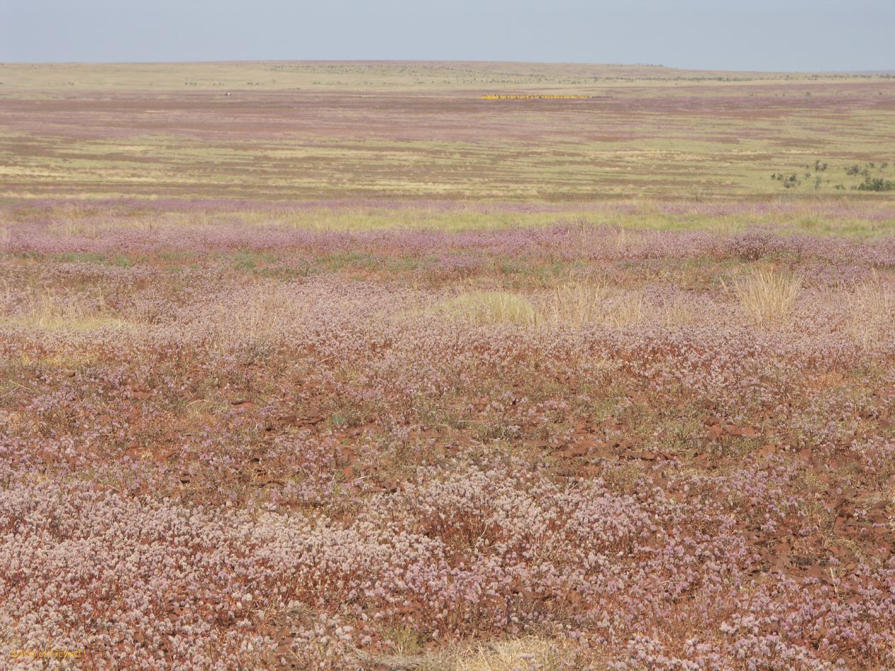 A 122 Millstream Chichester Park