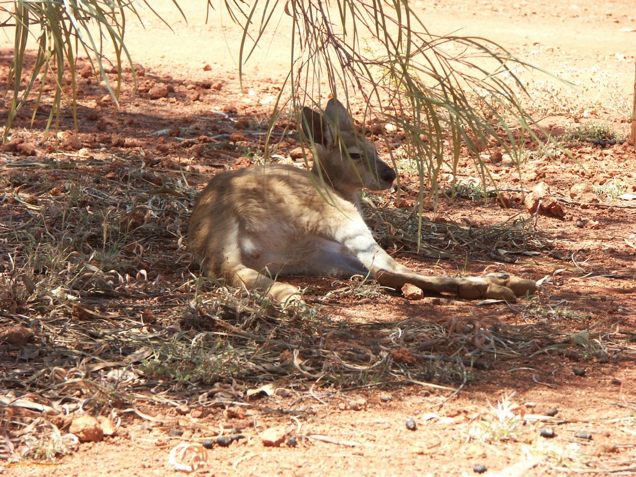 A 125 Millstream Chichester Park