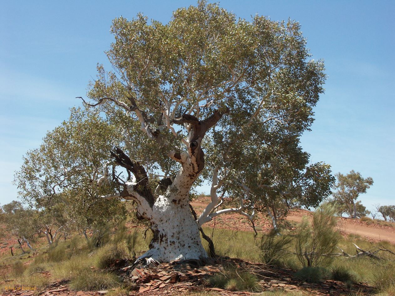 A 127 Millstream Chichester Park