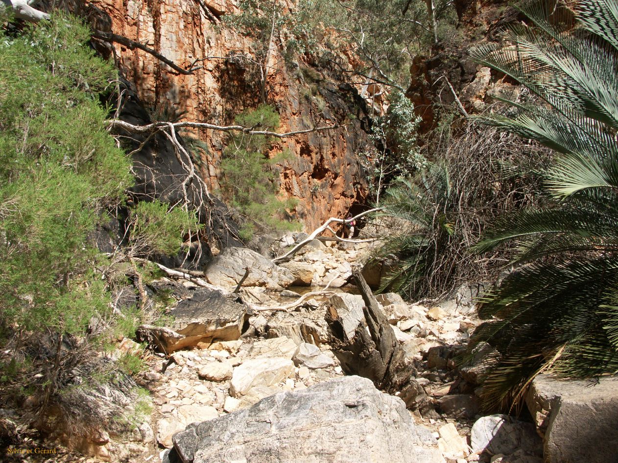 B 175 West MacDonnells Ranges