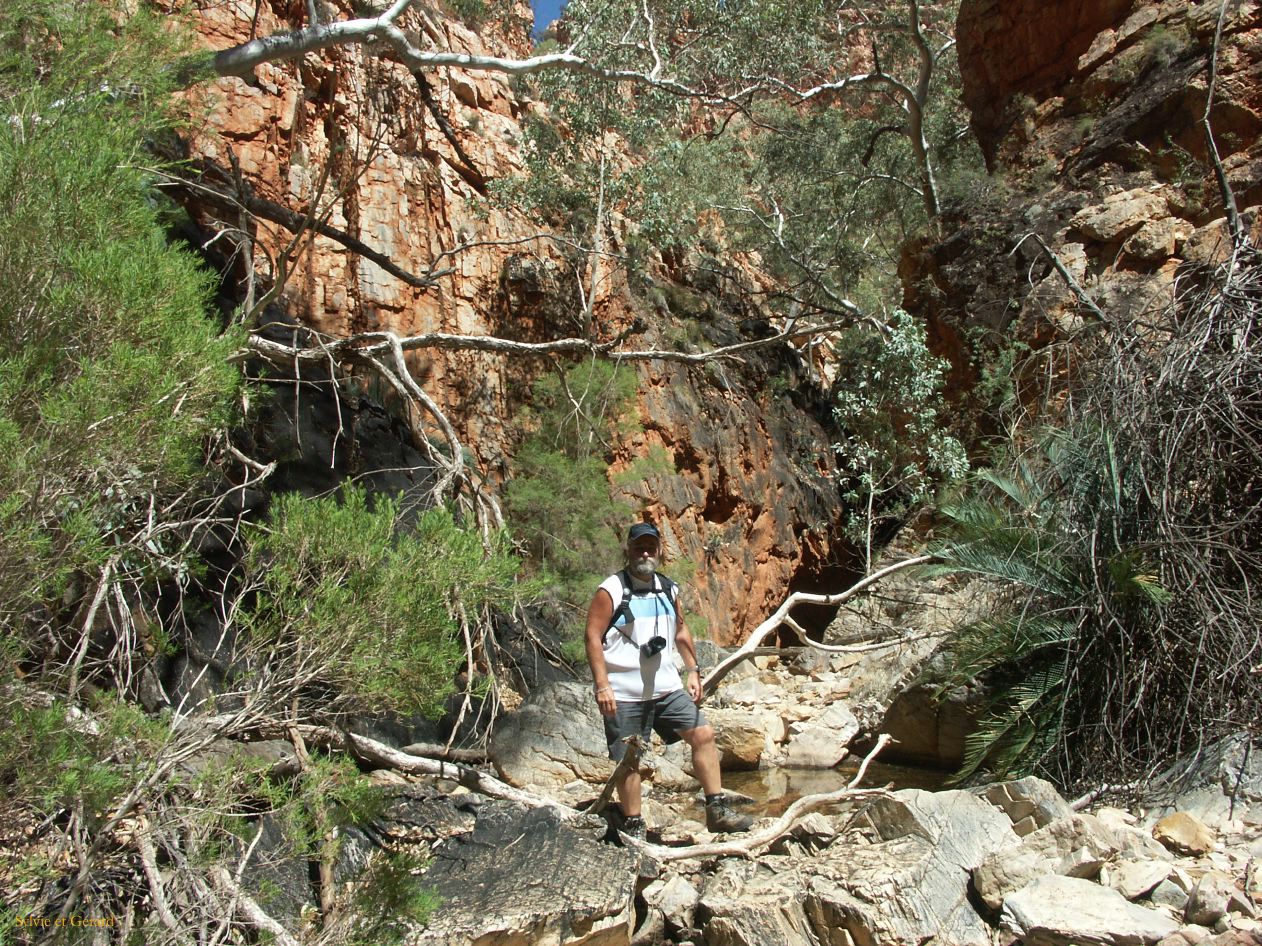 B 176 West MacDonnells Ranges