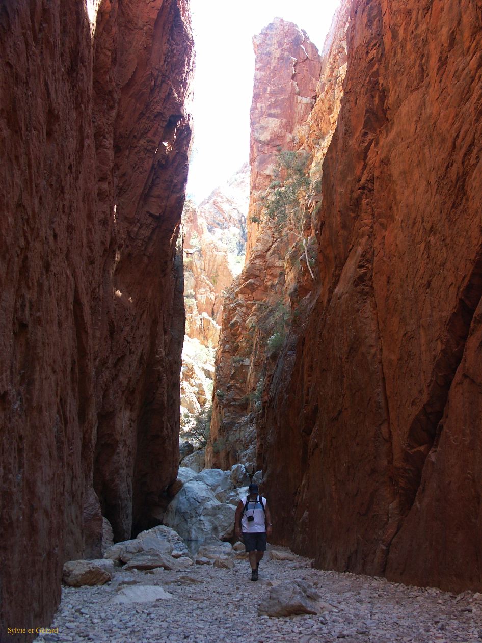 B 177 West MacDonnells Ranges