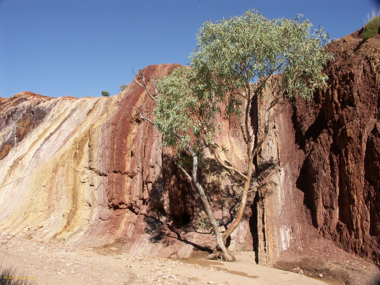 B 185 West MacDonnells Ranges