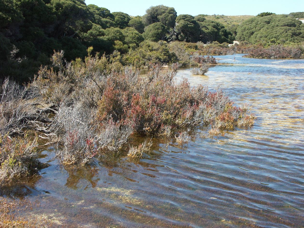 A 034 Rottnest Island