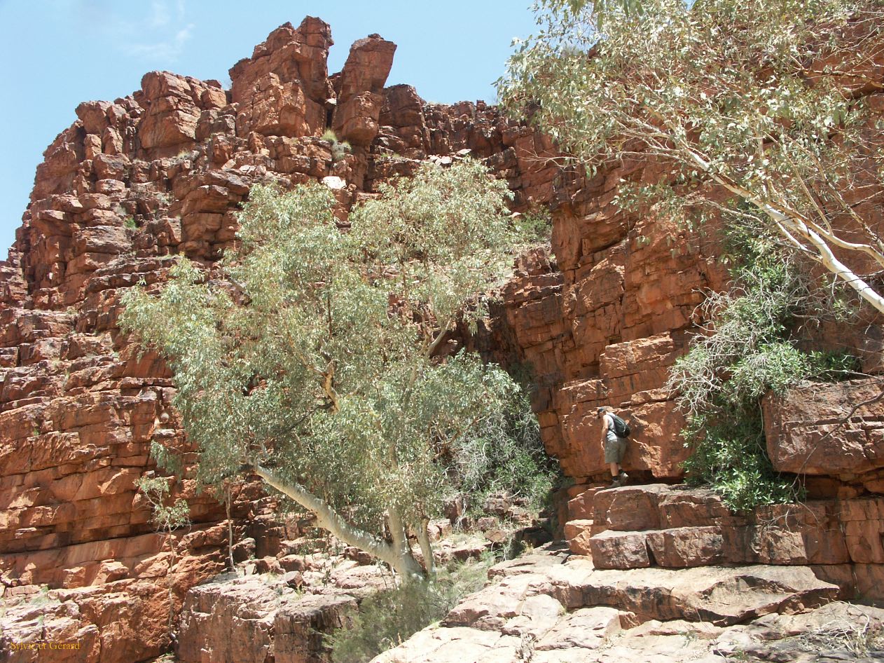 B 191 East MacDonnells Ranges