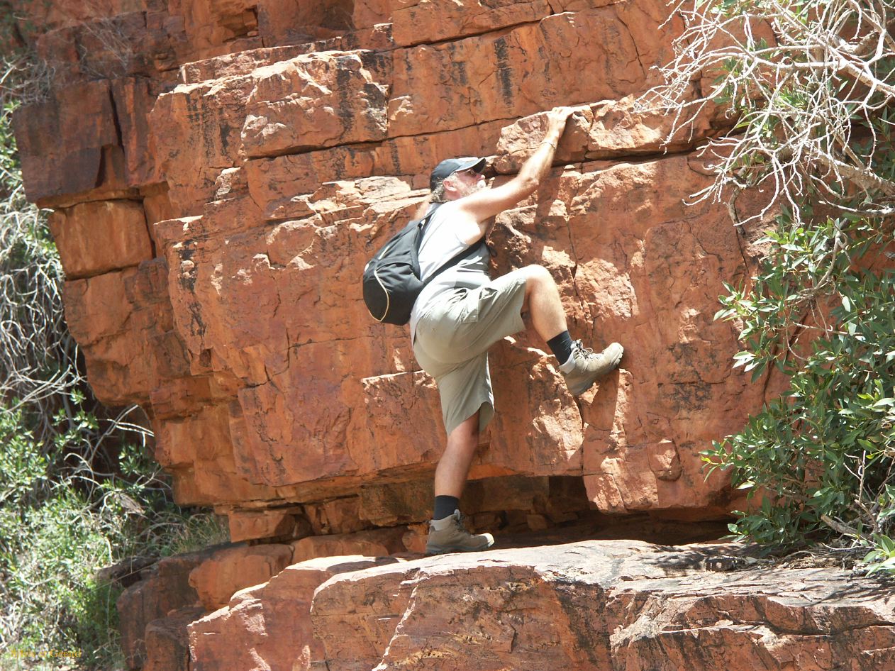 B 192 East MacDonnells Ranges