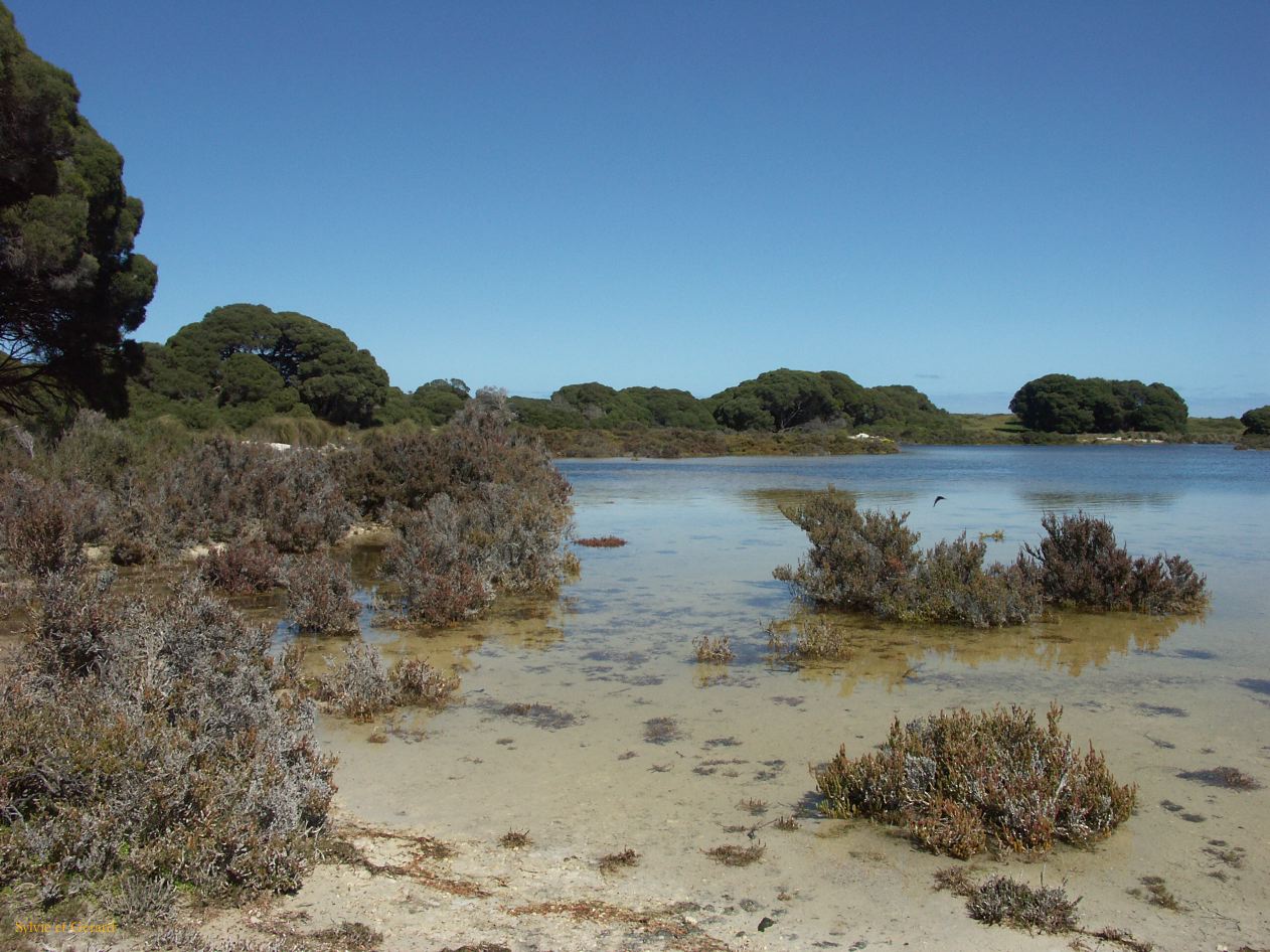A 035  Rottnest Island