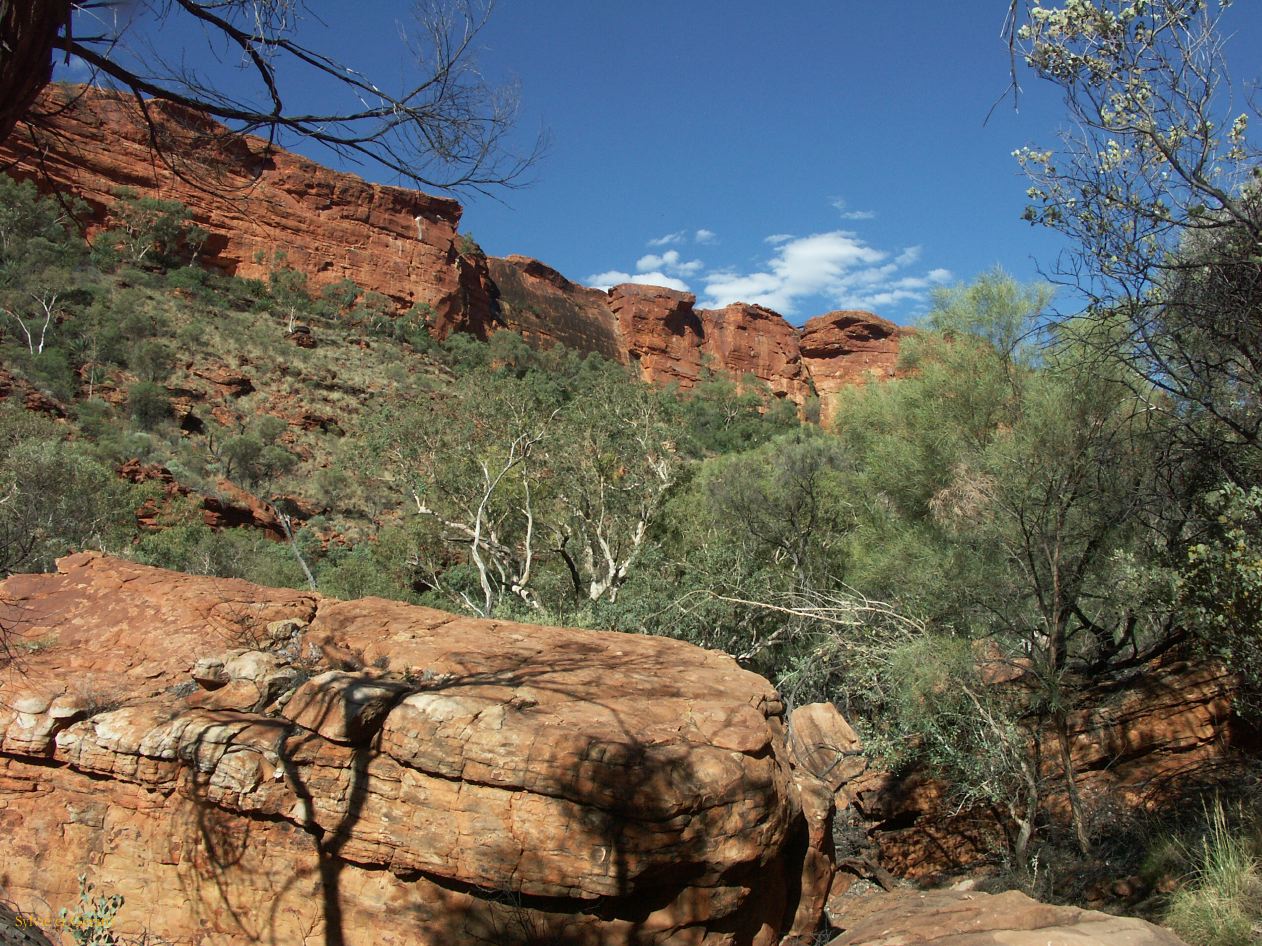 B 202 Kings Canyon
