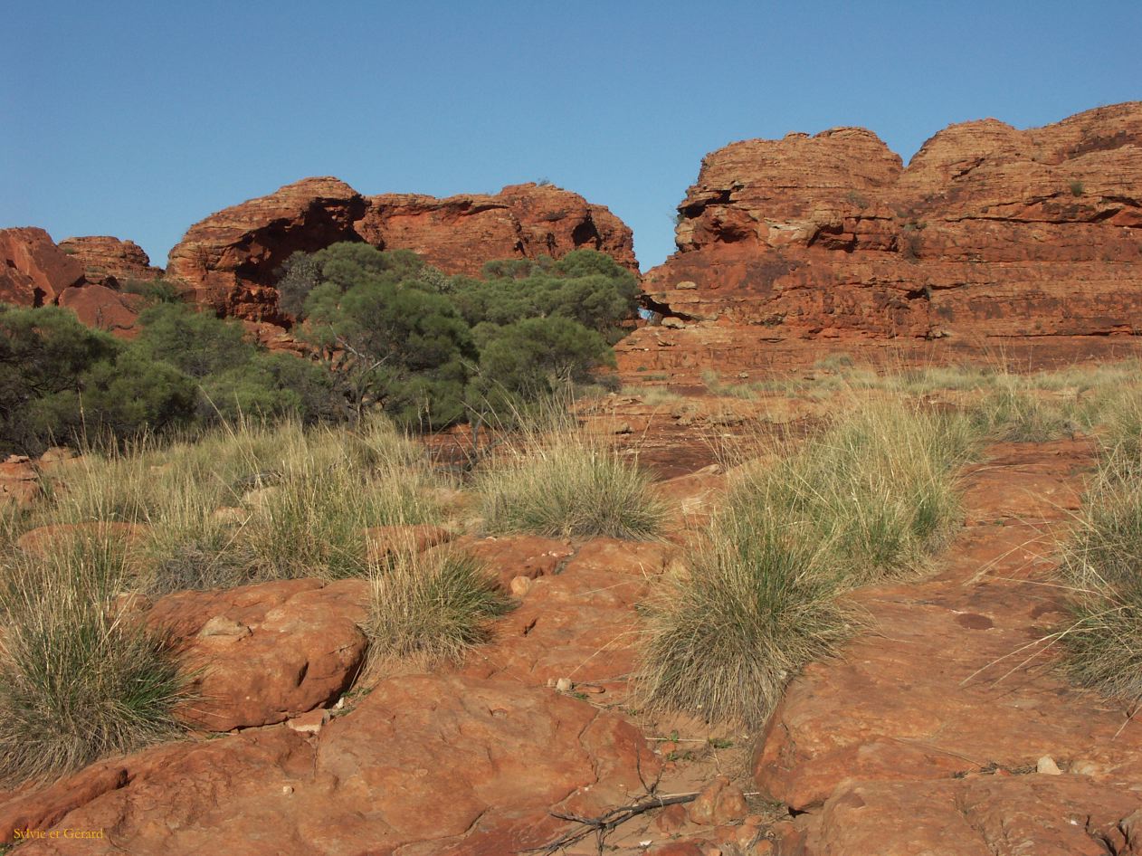 B 203 Kings Canyon