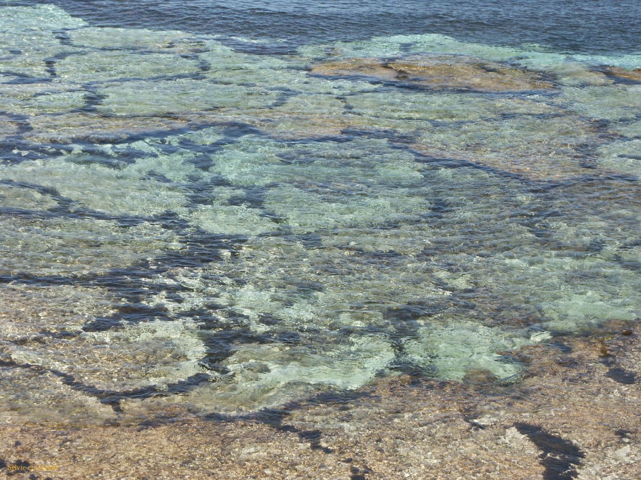 A 042 Rottnest Island