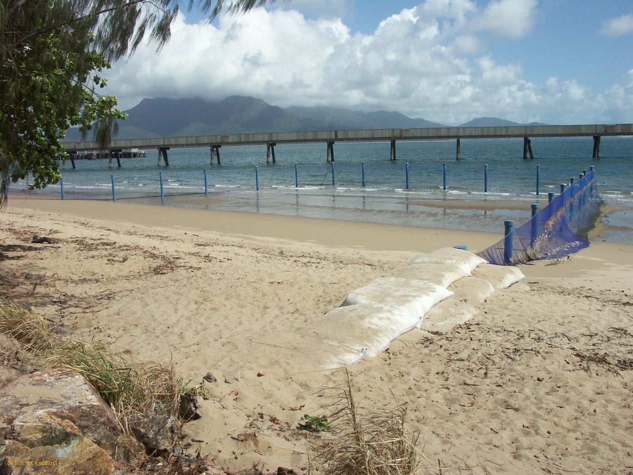 C 050 danger méduses