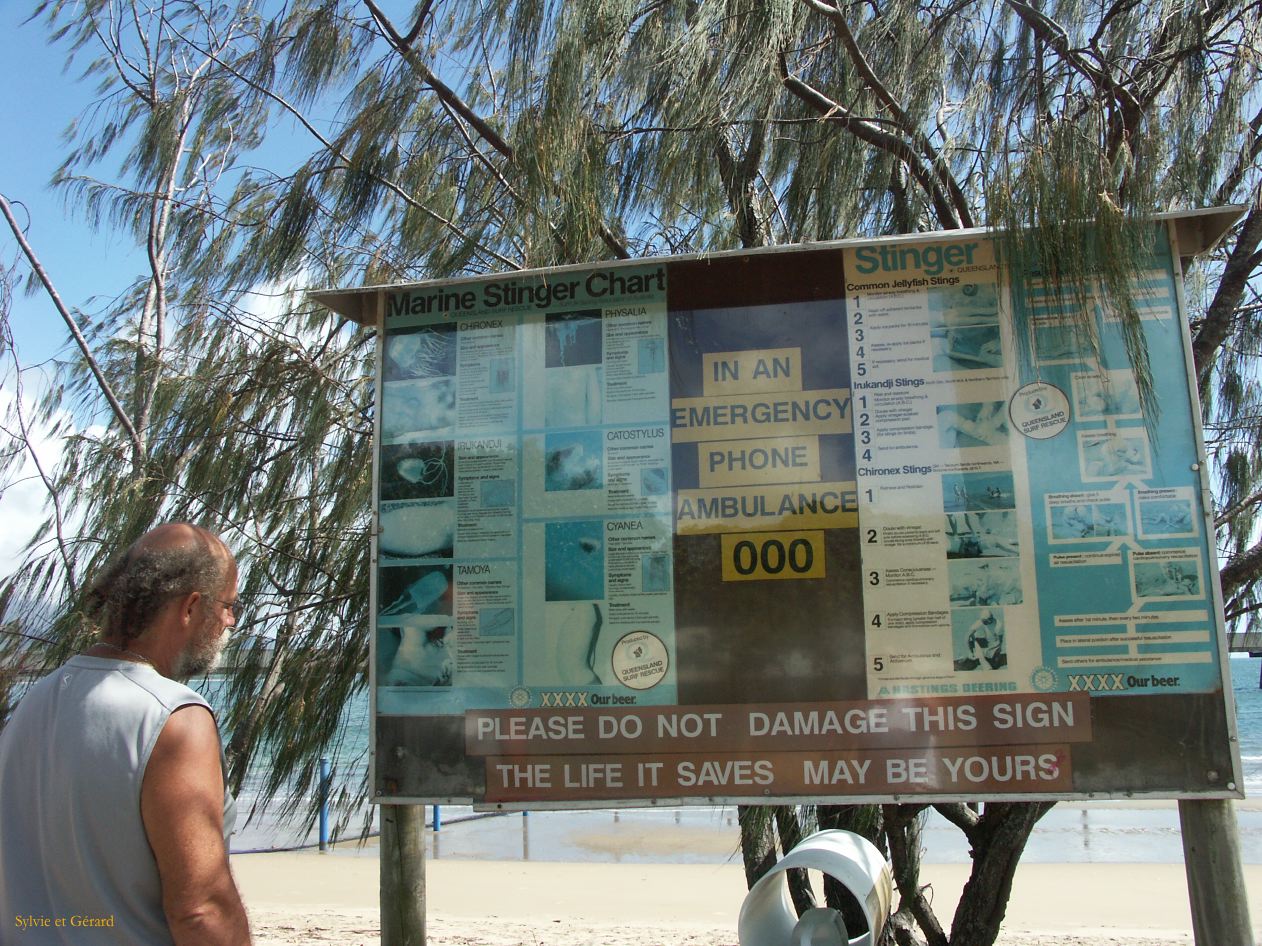 C 051 danger méduses