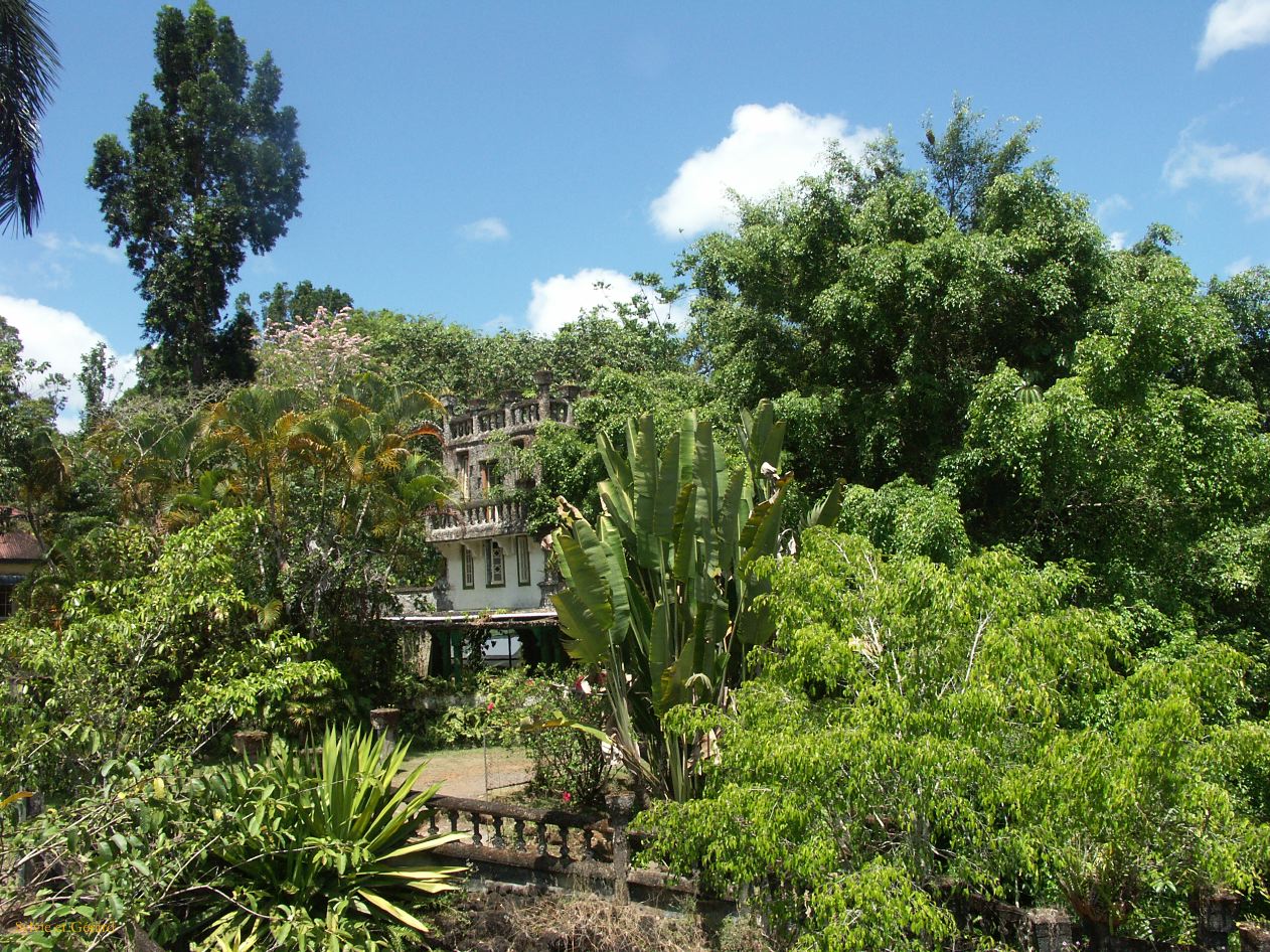 C 072 Paronella Park