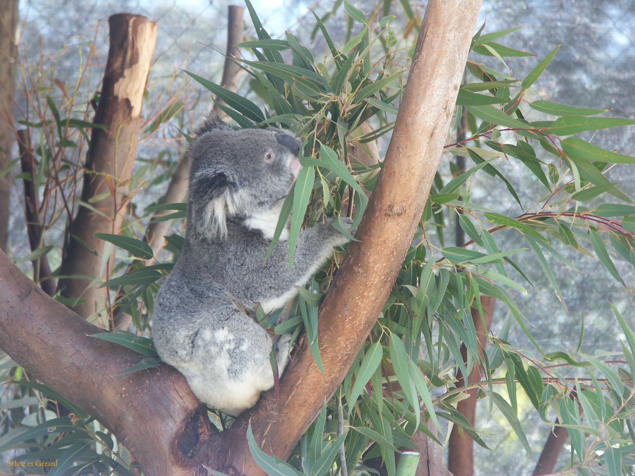 A 048  Whiteman Park