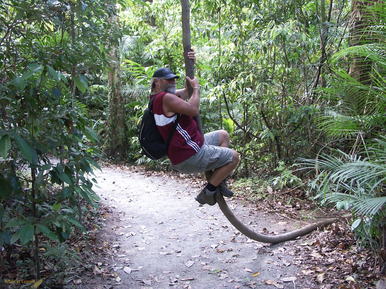 C 106 Josephine Falls