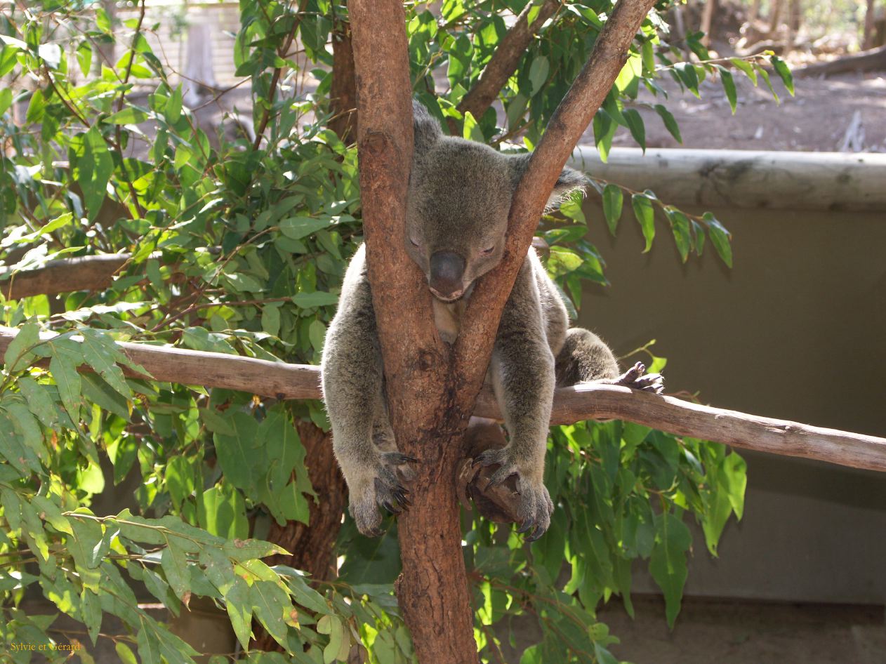 C 178 Billabong Sanctuary