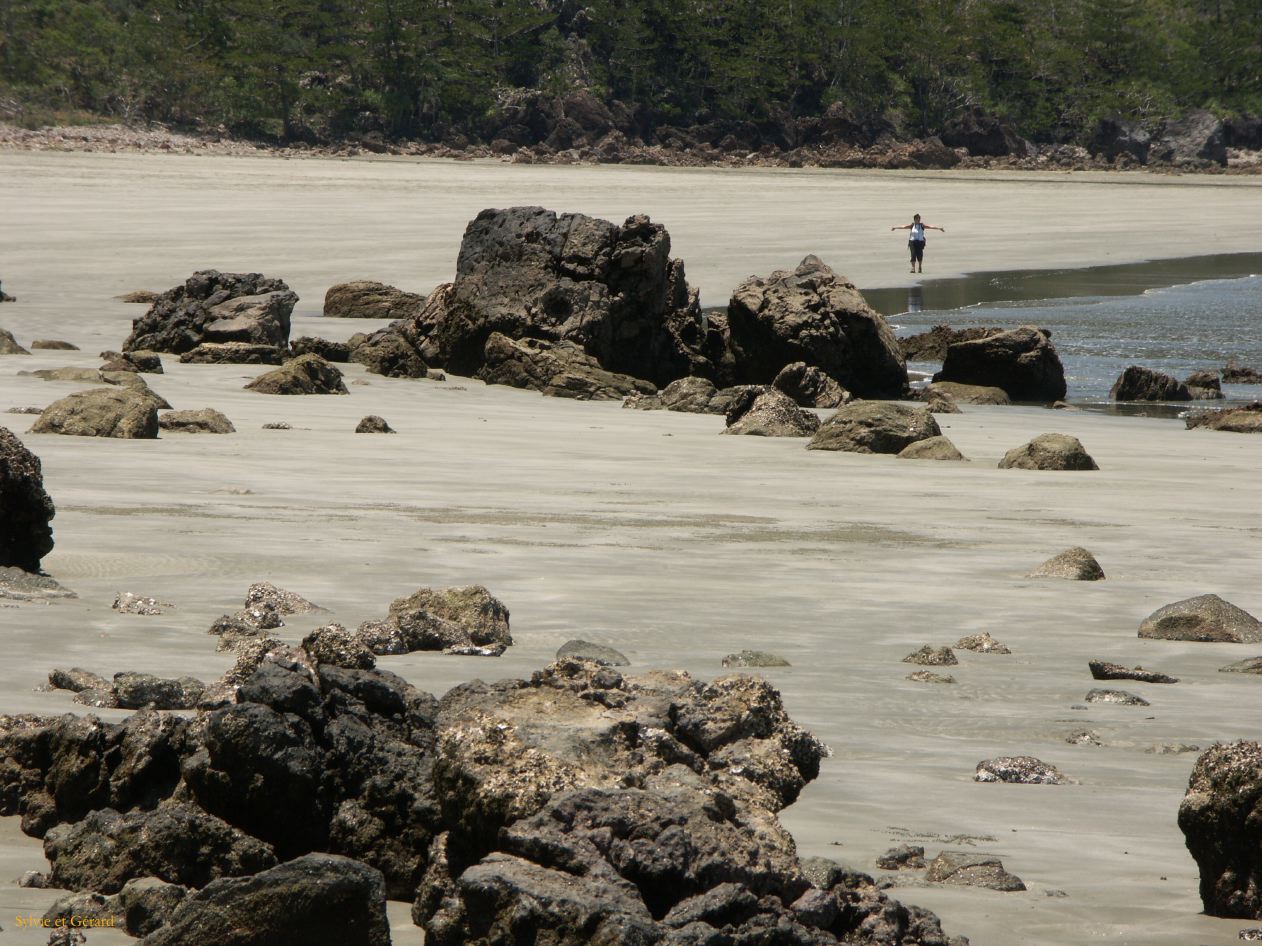 C 192 Cape Hillborough