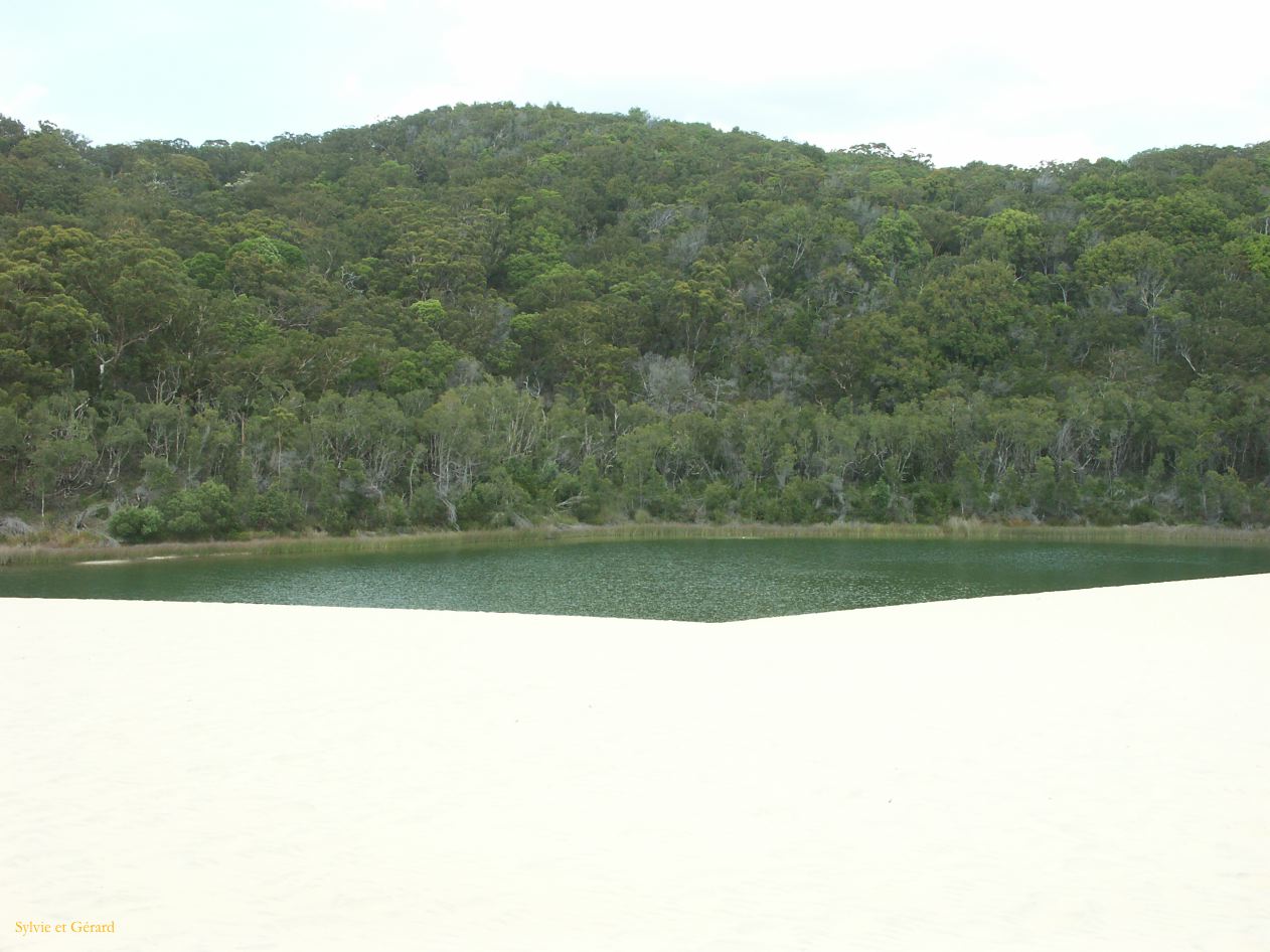 C 221 Fraser Island