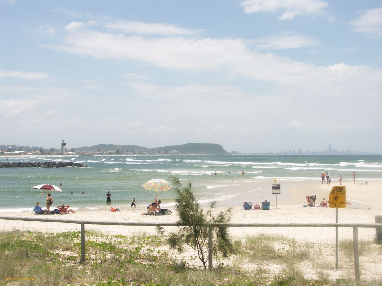 D 087 Currumbin Sanctuary