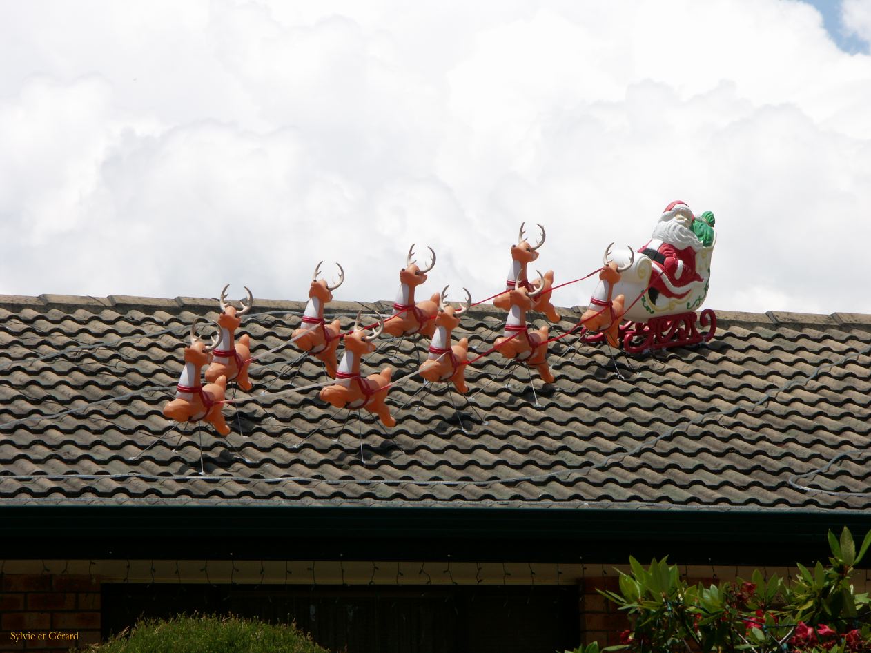 D 112 Blue Mountains