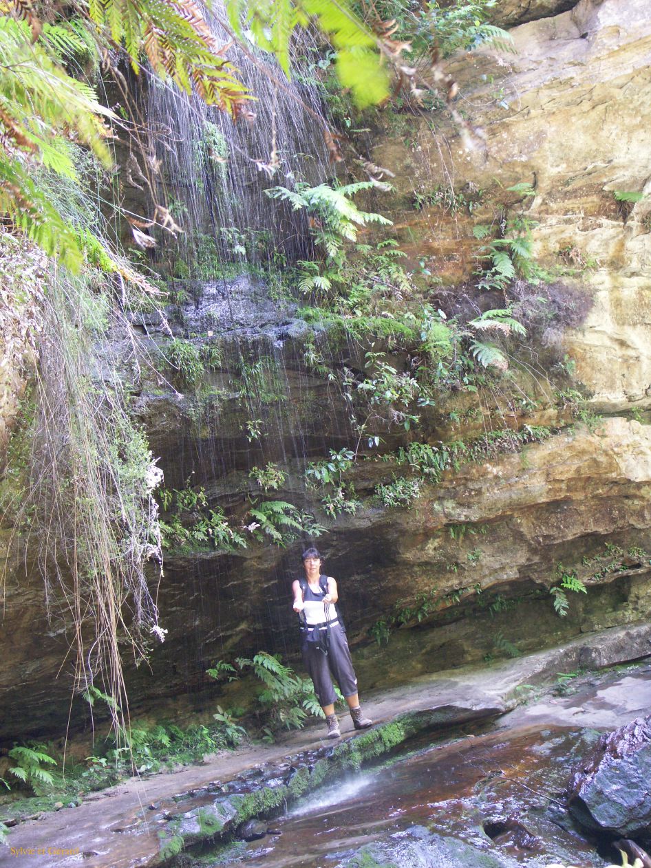 D 115 Blue Mountains