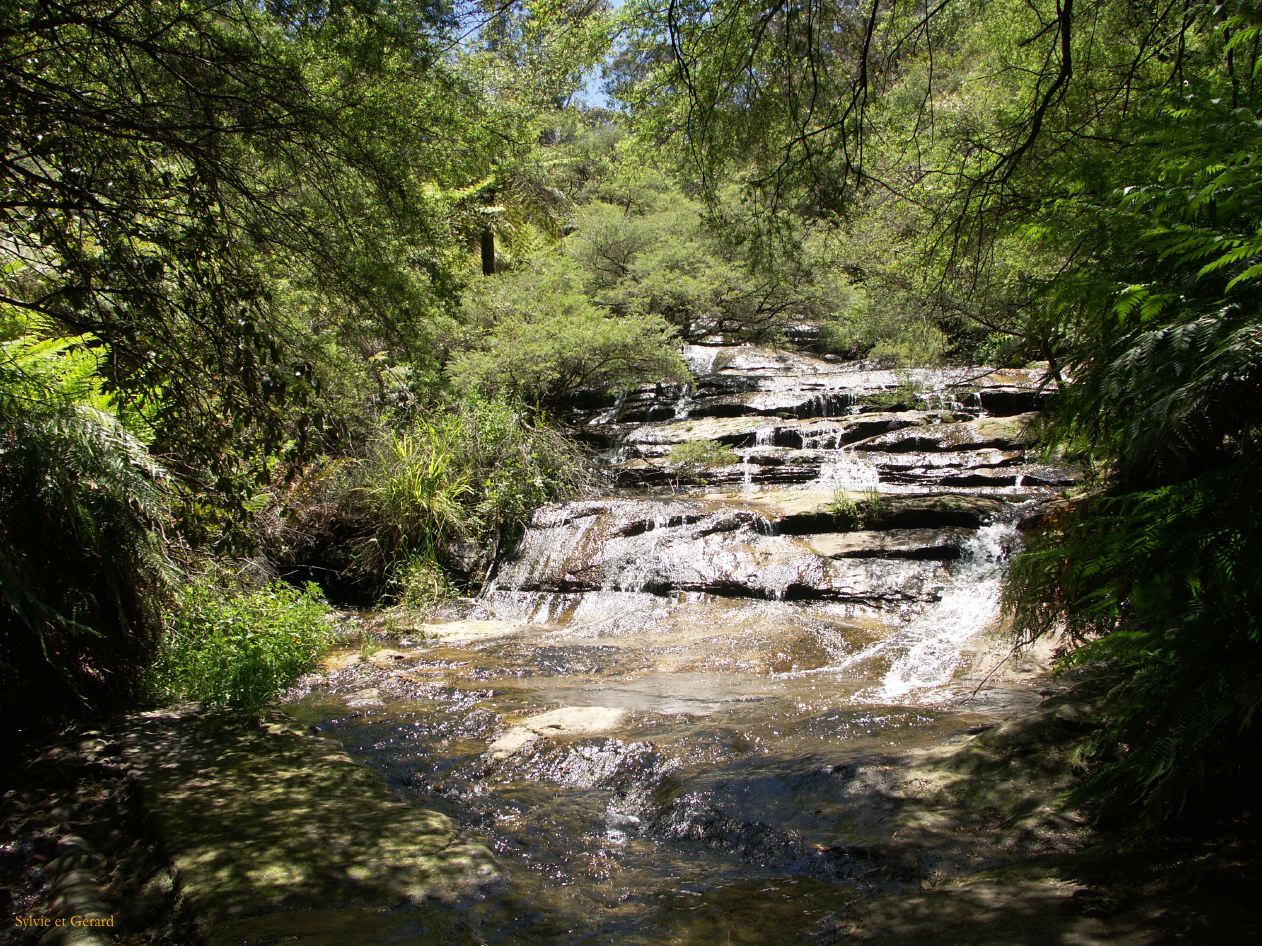 D 120  Blue Mountains