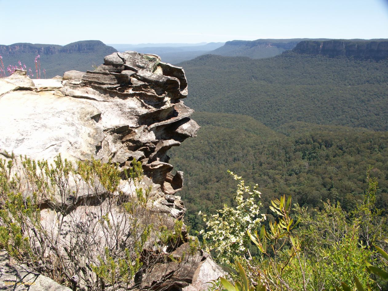 D 121 Blue Mountains