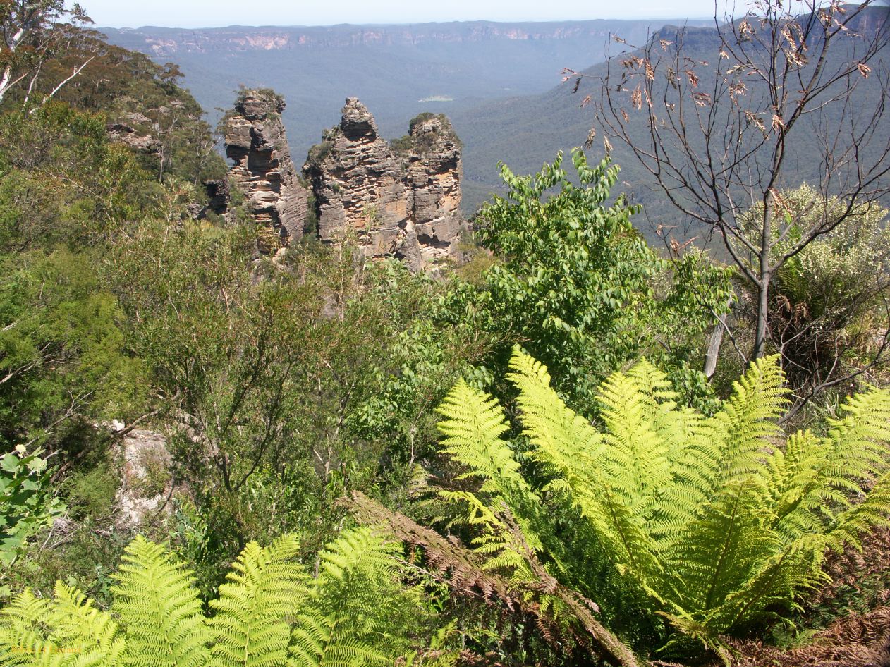 D 122 Blue Mountains